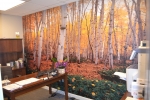 Forest Mural Wallpaper Wallcovering
